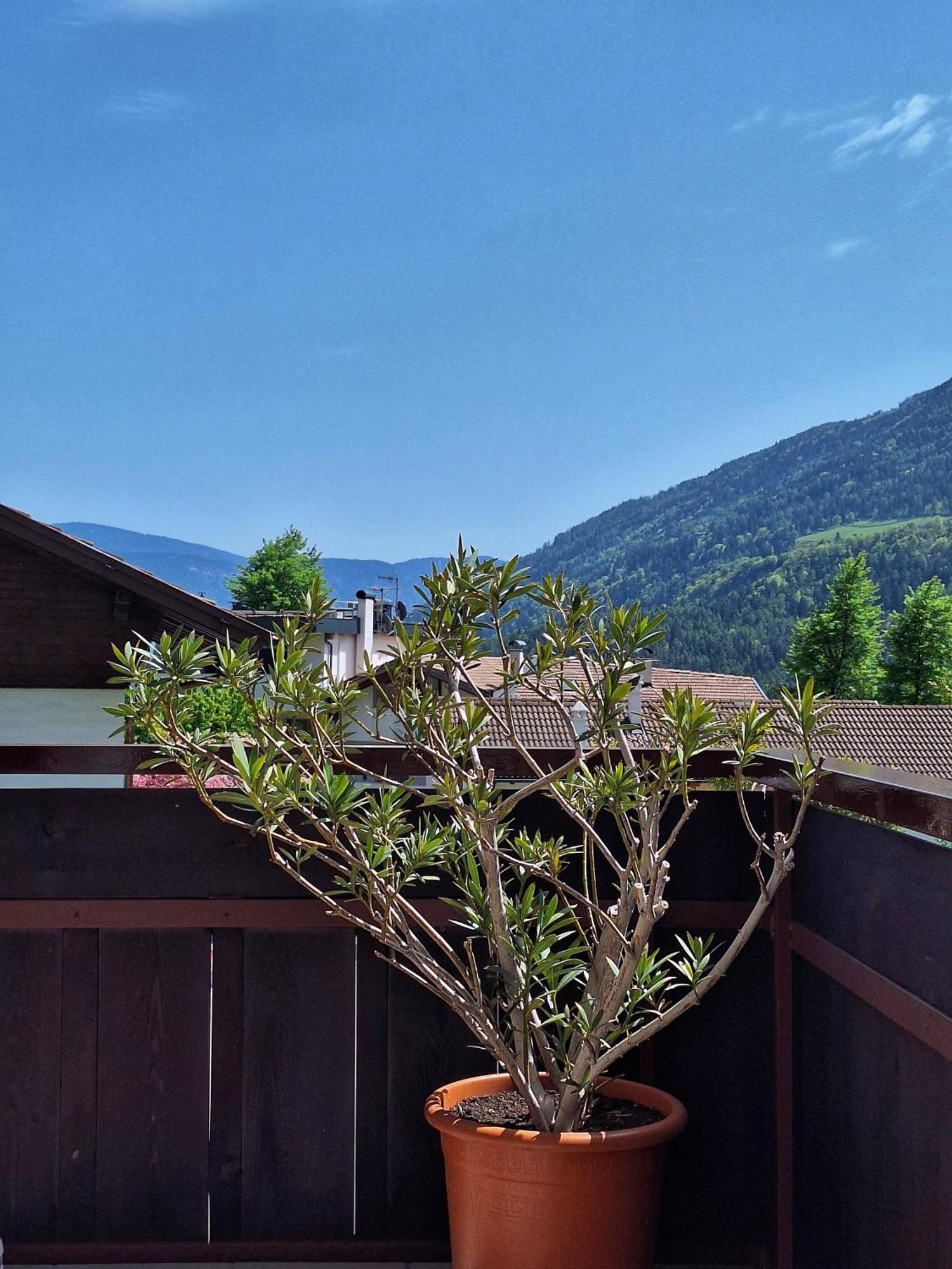 Cafe Rudi Living Bed and Breakfast Partschins Exteriör bild